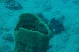 2008-05-17 15-31-19 H